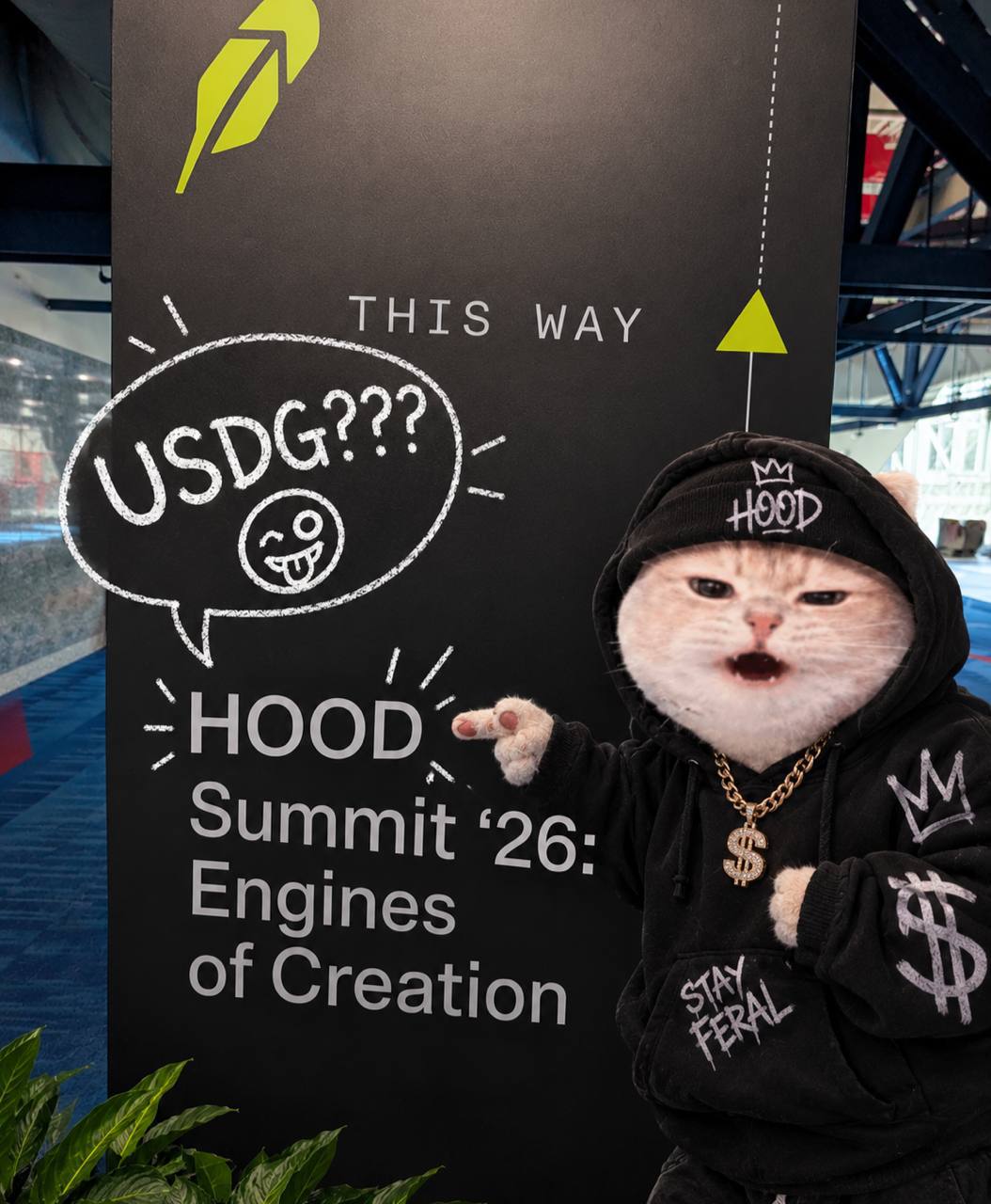 USDG this way
