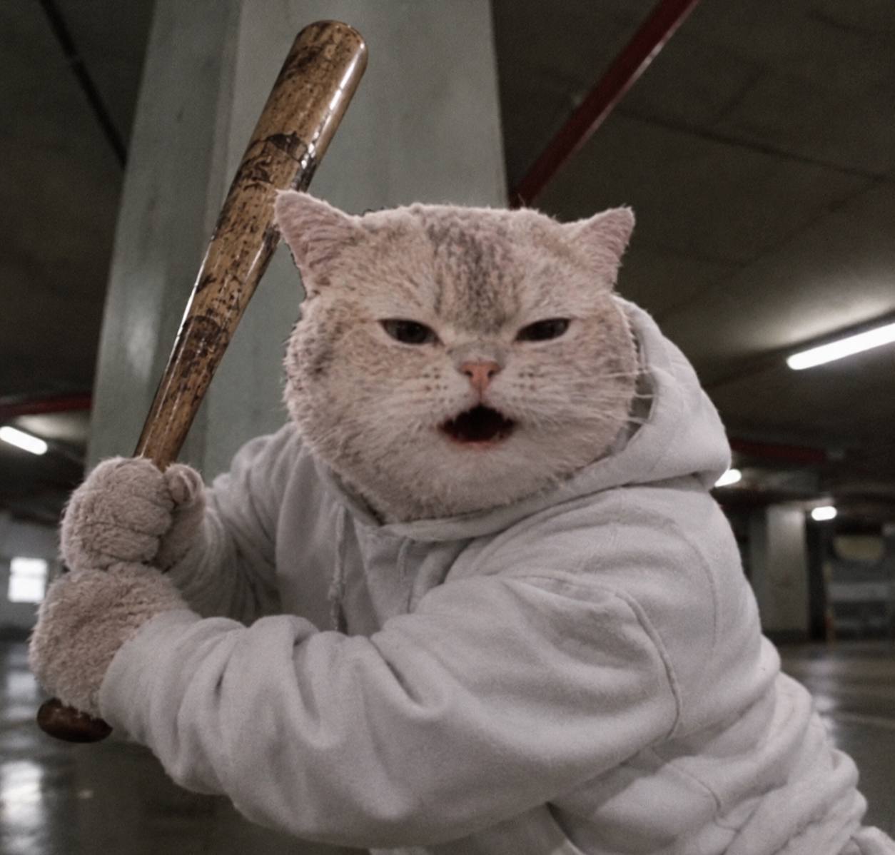Bat