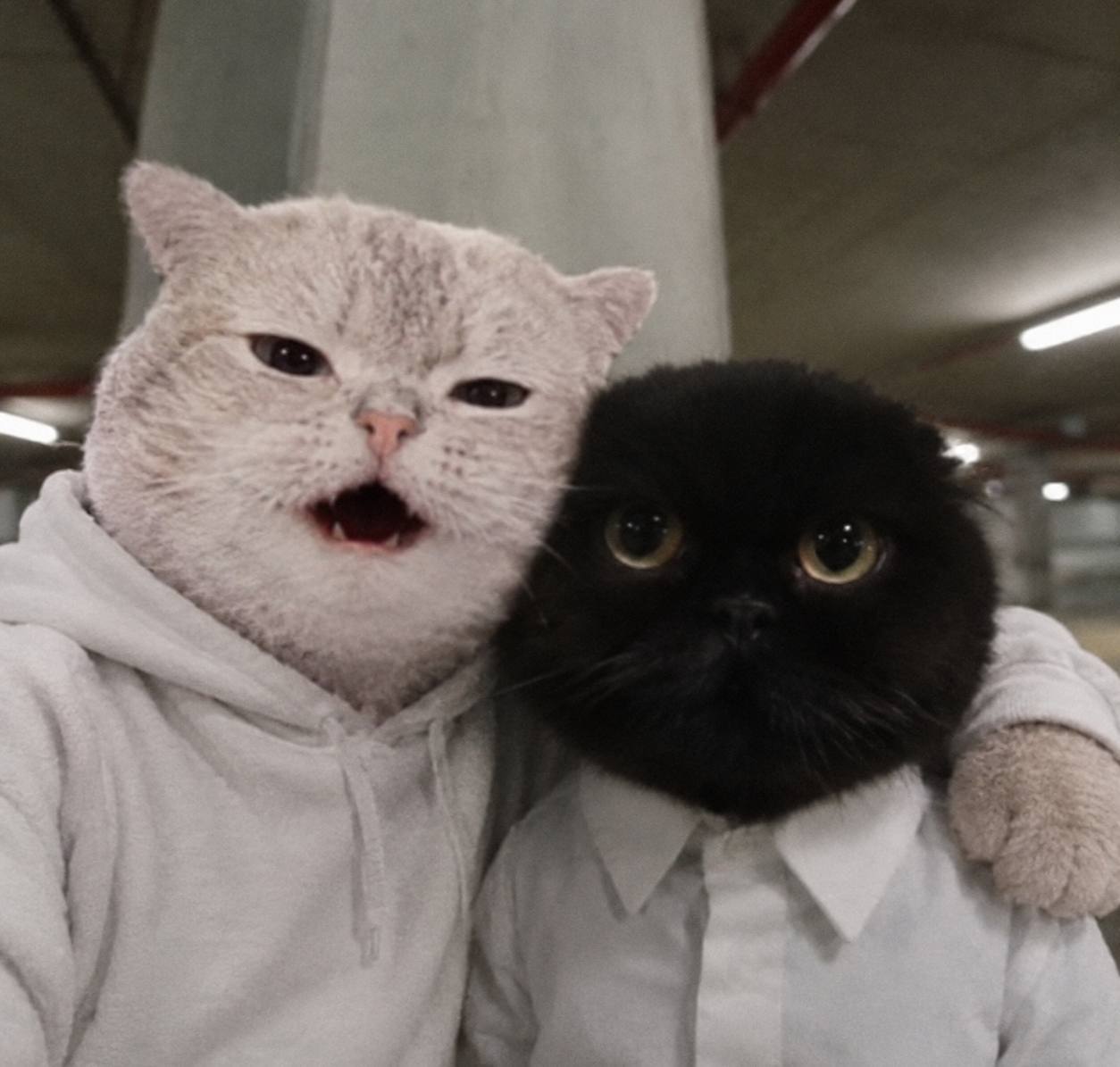 Duo